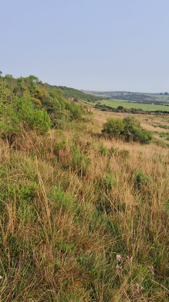 Cerrito do Ouro, São Sepé2448