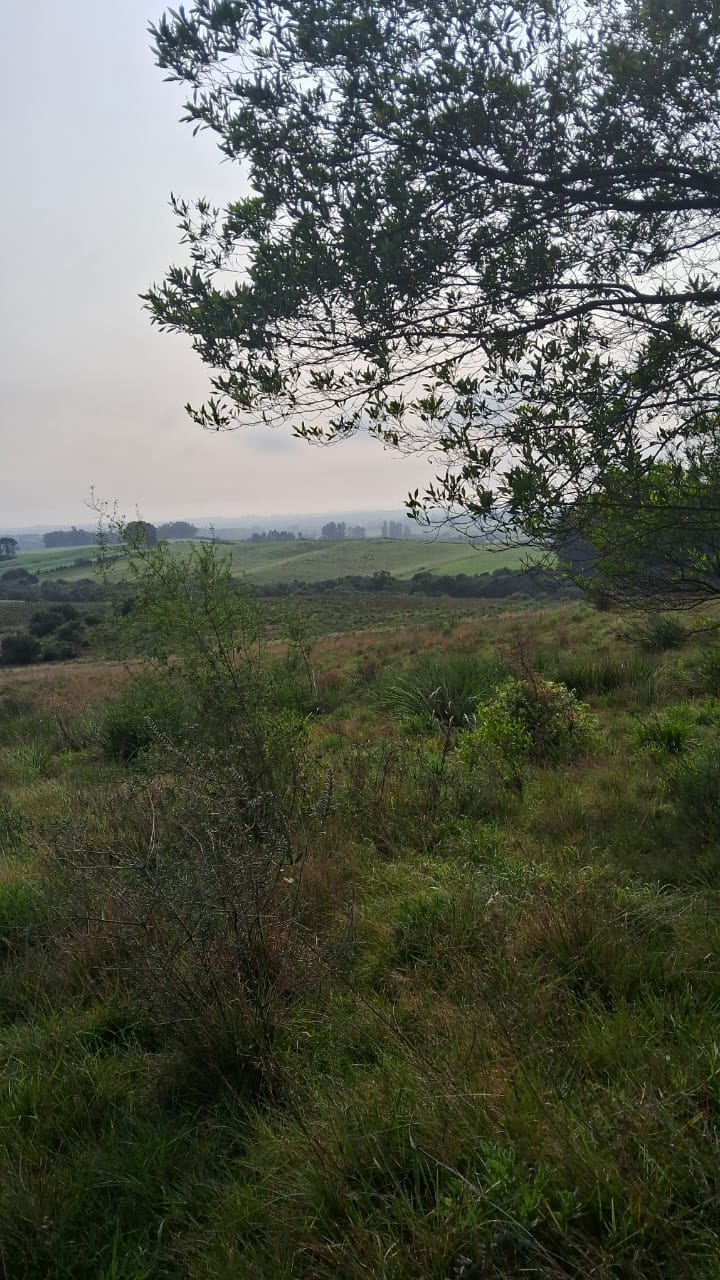 Cerrito do Ouro, São Sepé2448