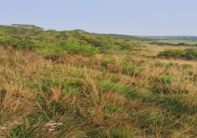 Cerrito do Ouro, São Sepé2448