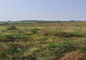 Cerrito do Ouro, São Sepé2448