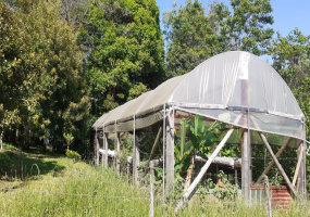 Passo dos Leites, Vila Nova do Sul2456